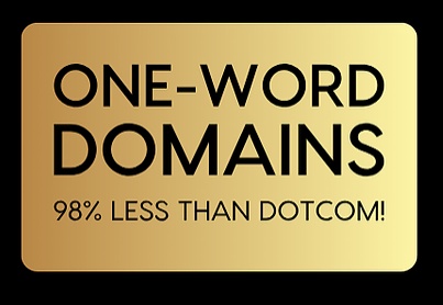 One Word Domains For Sale Raizy  Brandable Kosher Domains